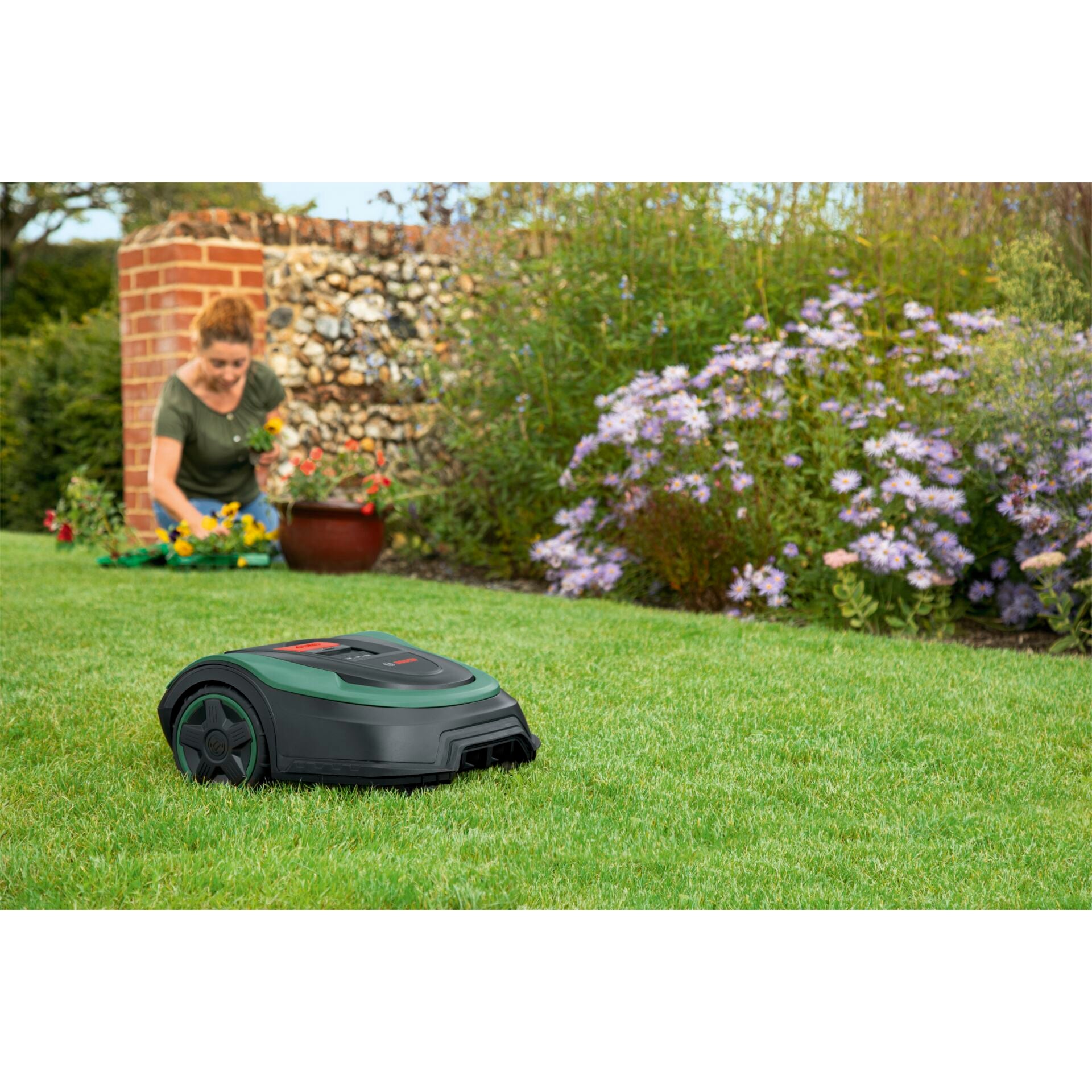 Tondeuse robot Bosch DIY Indego S+ 500 - 06008B0302