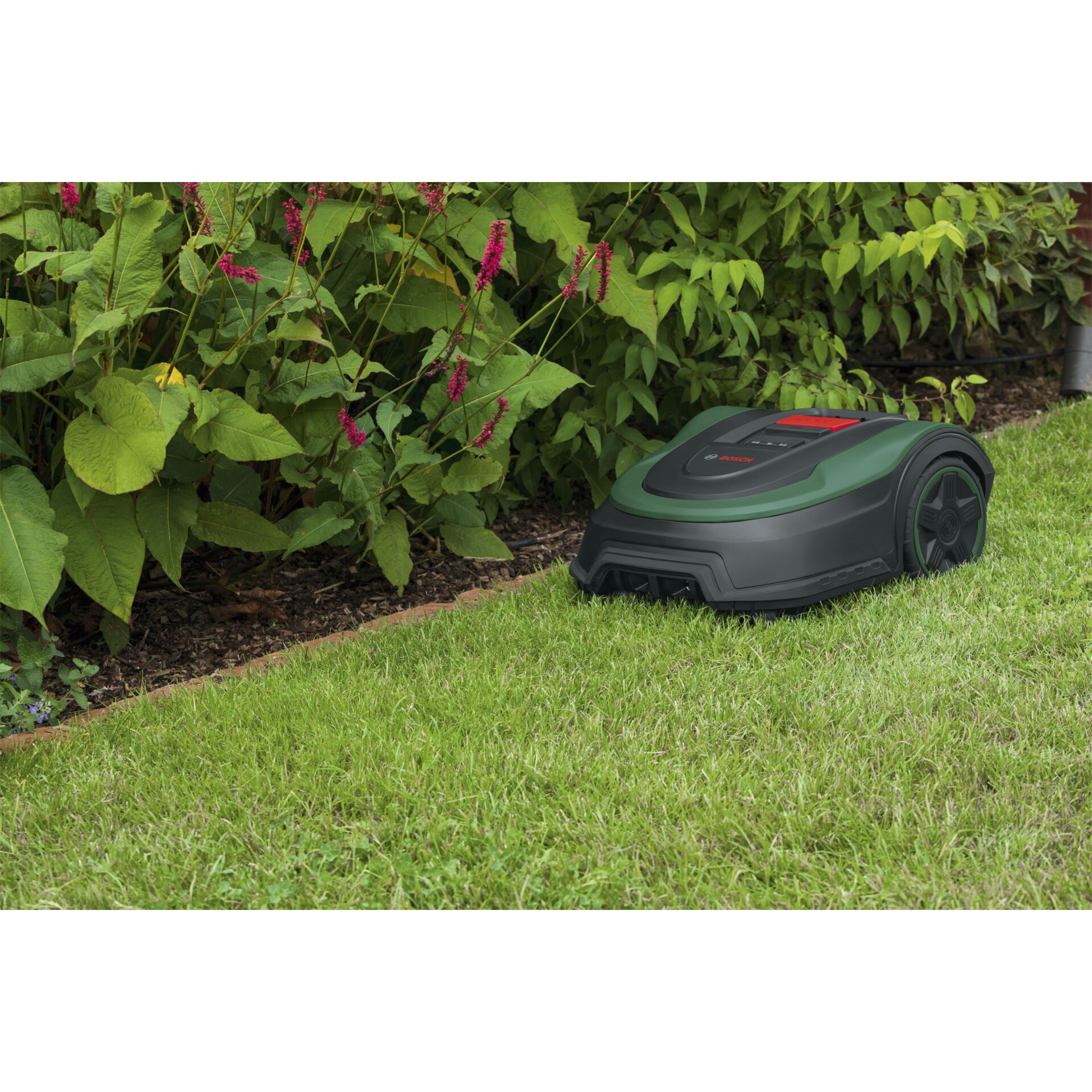 Tondeuse robot Bosch DIY Indego S+ 500 - 06008B0302