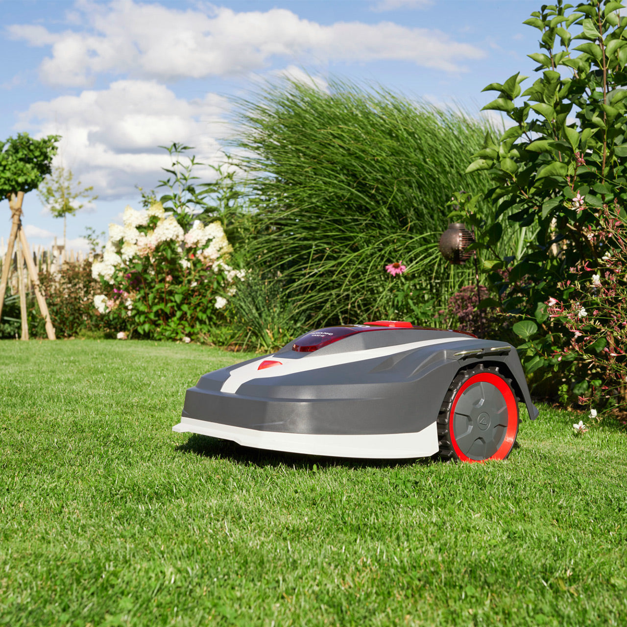 Tondeuse robot AL-KO Robolinho 1300 W Premium