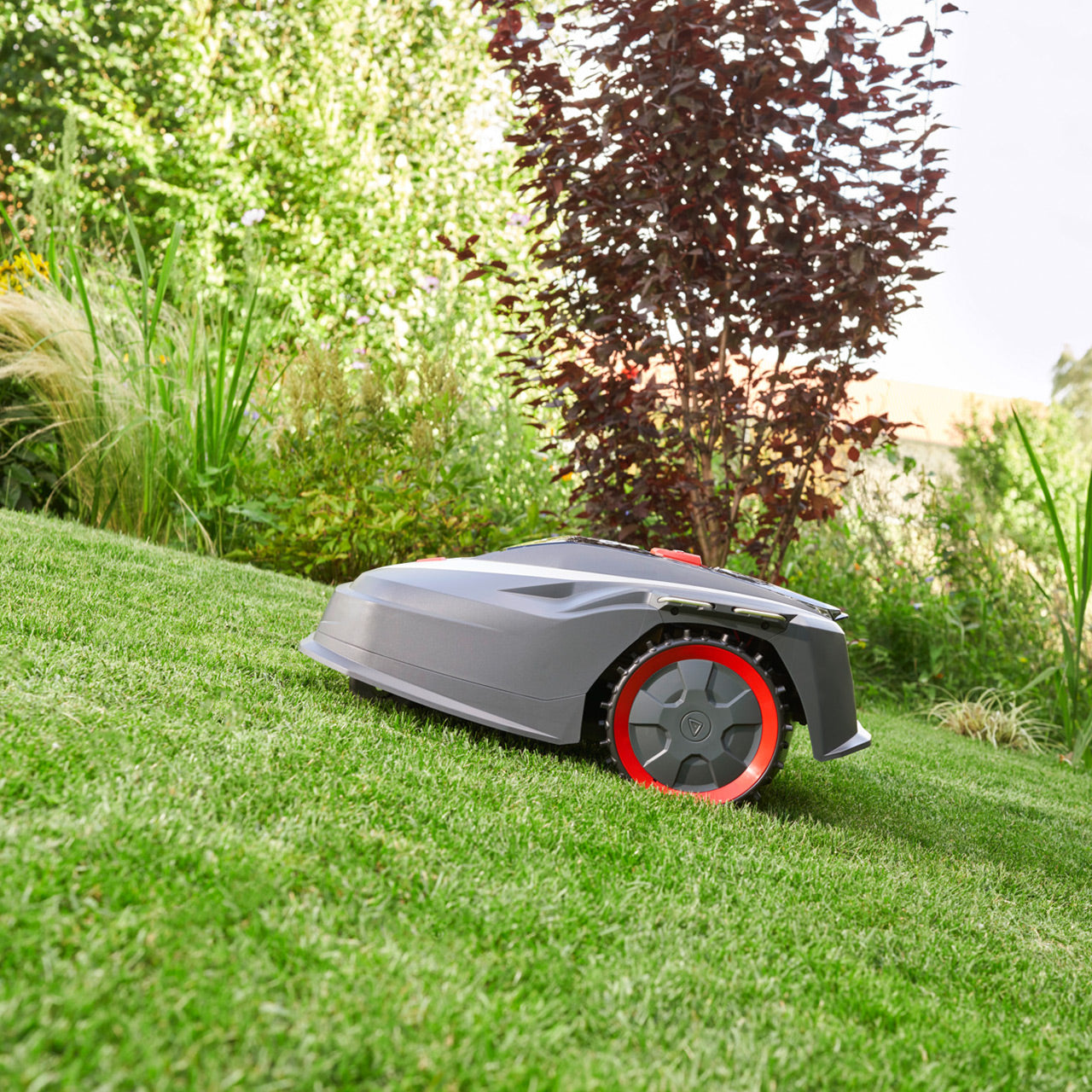 Tondeuse robot AL-KO Robolinho 350 W Easy