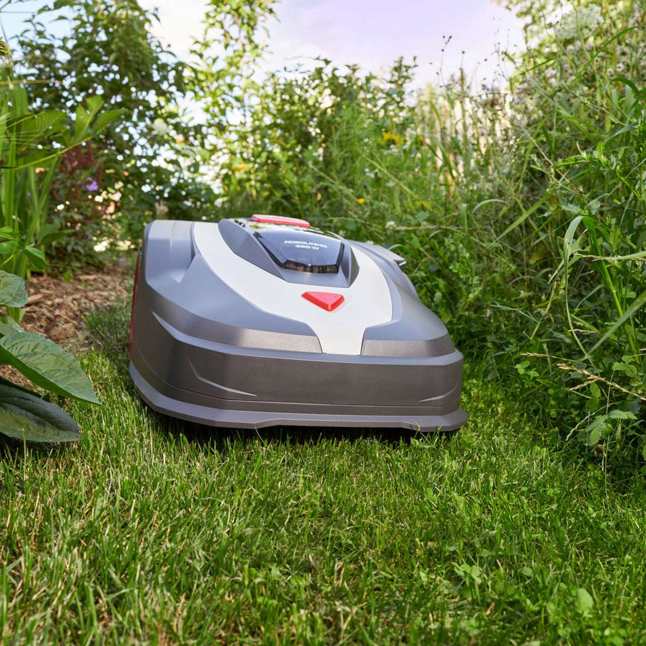 Tondeuse robot AL-KO Robolinho 350 W Easy